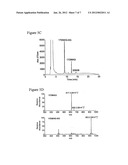 HSP90 INHIBITORS WITH MODIFIED TOXICITY diagram and image