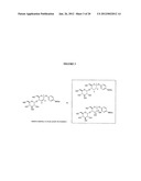 Glycosylated Acetaminophen Pro-Drug Analogs diagram and image