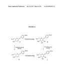 Glycosylated Acetaminophen Pro-Drug Analogs diagram and image