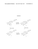 Glycosylated Acetaminophen Pro-Drug Analogs diagram and image