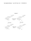 Glycosylated Acetaminophen Pro-Drug Analogs diagram and image