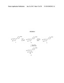 Glycosylated Acetaminophen Pro-Drug Analogs diagram and image