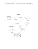 Glycosylated Acetaminophen Pro-Drug Analogs diagram and image