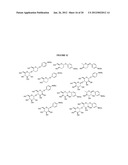 Glycosylated Acetaminophen Pro-Drug Analogs diagram and image