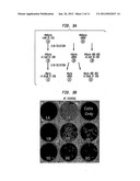 SULFONYL SEMICARBAZIDES, SEMICARBAZIDES AND UREAS, PHARMACEUTICAL     COMPOSITIONS THEREOF, AND METHODS FOR TREATING HEMORRHAGIC FEVER VIRUSES,     INCLUDING INFECTIONS ASSOCIATED WITH ARENAVIRUSES diagram and image