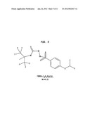 SULFONYL SEMICARBAZIDES, SEMICARBAZIDES AND UREAS, PHARMACEUTICAL     COMPOSITIONS THEREOF, AND METHODS FOR TREATING HEMORRHAGIC FEVER VIRUSES,     INCLUDING INFECTIONS ASSOCIATED WITH ARENAVIRUSES diagram and image