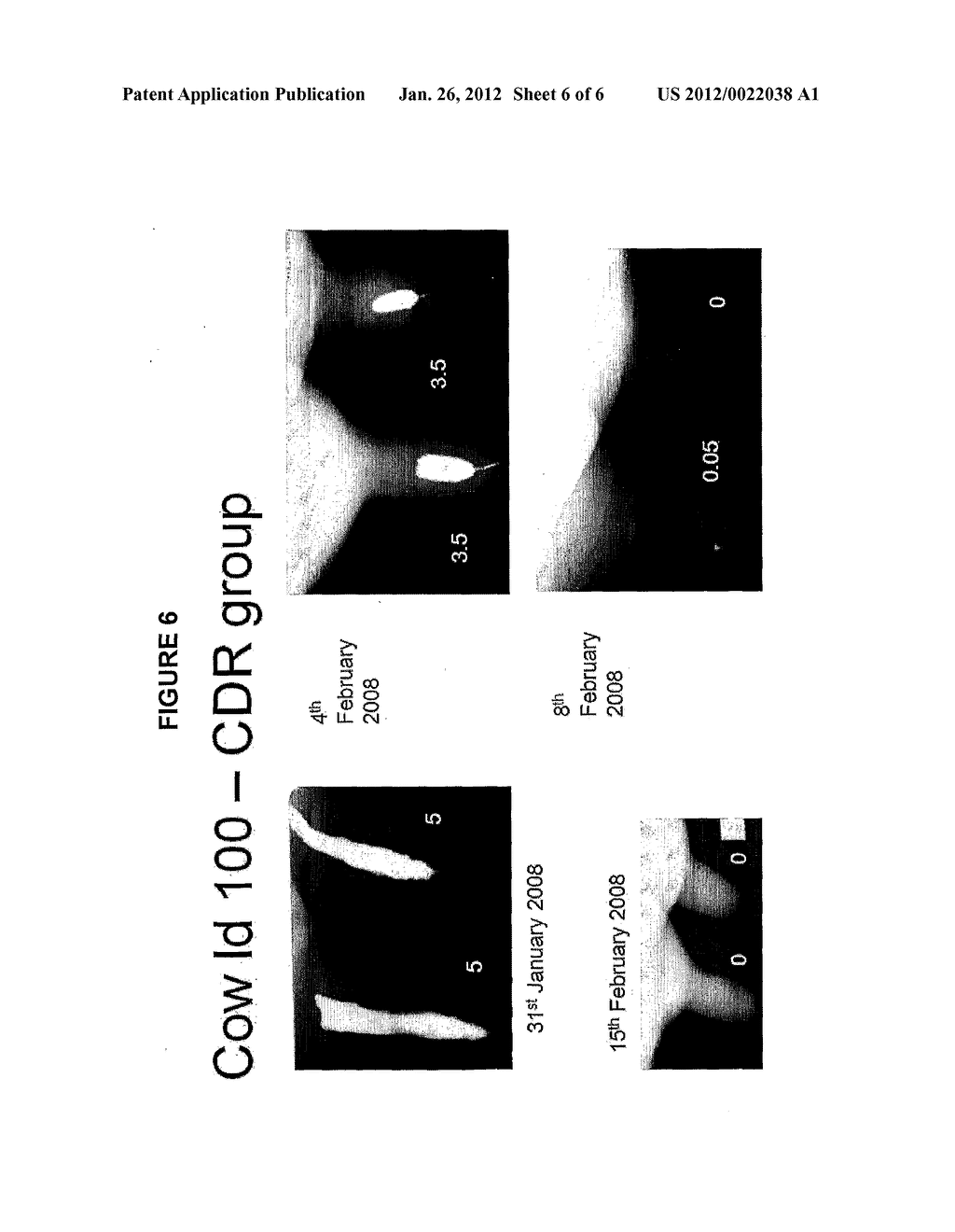 ANIMAL TREATMENT FORMULATION AND METHODS OF USE - diagram, schematic, and image 07