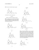 Oligomer-Cannabinoid Conjugates diagram and image