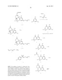 Oligomer-Cannabinoid Conjugates diagram and image