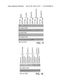 CATECHOLAMINE DERIVATIVES FOR OBESITY AND NEUROLOGICAL DISORDERS diagram and image