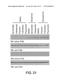 CATECHOLAMINE DERIVATIVES FOR OBESITY AND NEUROLOGICAL DISORDERS diagram and image