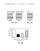 CATECHOLAMINE DERIVATIVES FOR OBESITY AND NEUROLOGICAL DISORDERS diagram and image