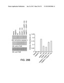 CATECHOLAMINE DERIVATIVES FOR OBESITY AND NEUROLOGICAL DISORDERS diagram and image