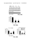 CATECHOLAMINE DERIVATIVES FOR OBESITY AND NEUROLOGICAL DISORDERS diagram and image