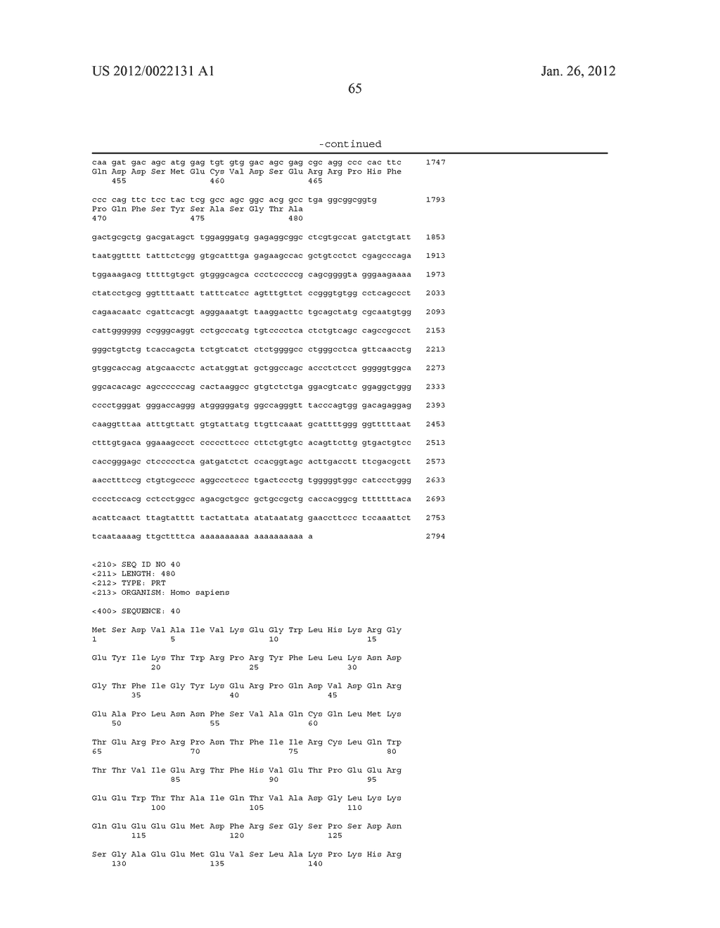 BREAST CANCER RELATED GENE RQCD1 - diagram, schematic, and image 77