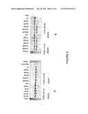 Antisense Oligonucleotides for Inducing Exon Skipping and Methods of Use     Thereof diagram and image