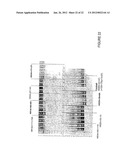 Antisense Oligonucleotides for Inducing Exon Skipping and Methods of Use     Thereof diagram and image