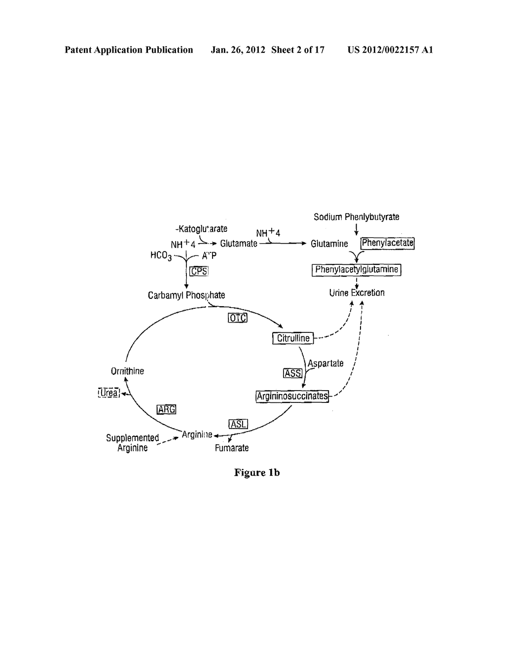 DOSING AND MONITORING PATIENTS ON NITROGEN-SCAVENGING DRUGS - diagram, schematic, and image 03