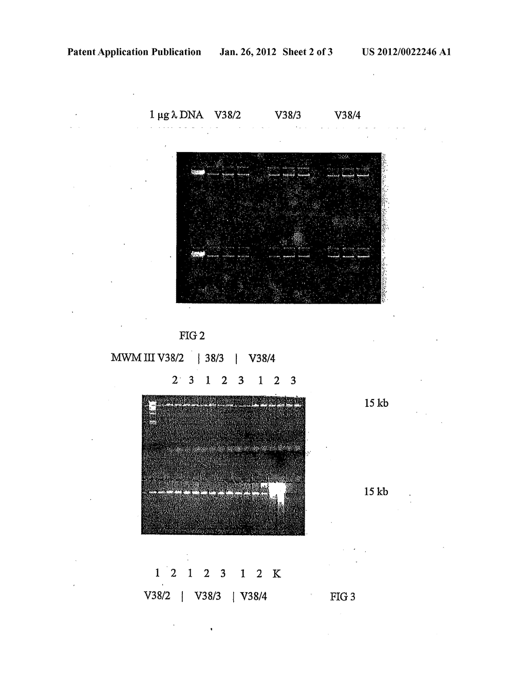 Magnetic Pigment - diagram, schematic, and image 03