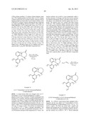 PHOSPHINE LIGANDS FOR CATALYTIC REACTIONS diagram and image