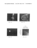 APPARATUS FOR MONITORING A SYSTEM WITH TIME IN SPACE AND METHOD THEREFOR diagram and image