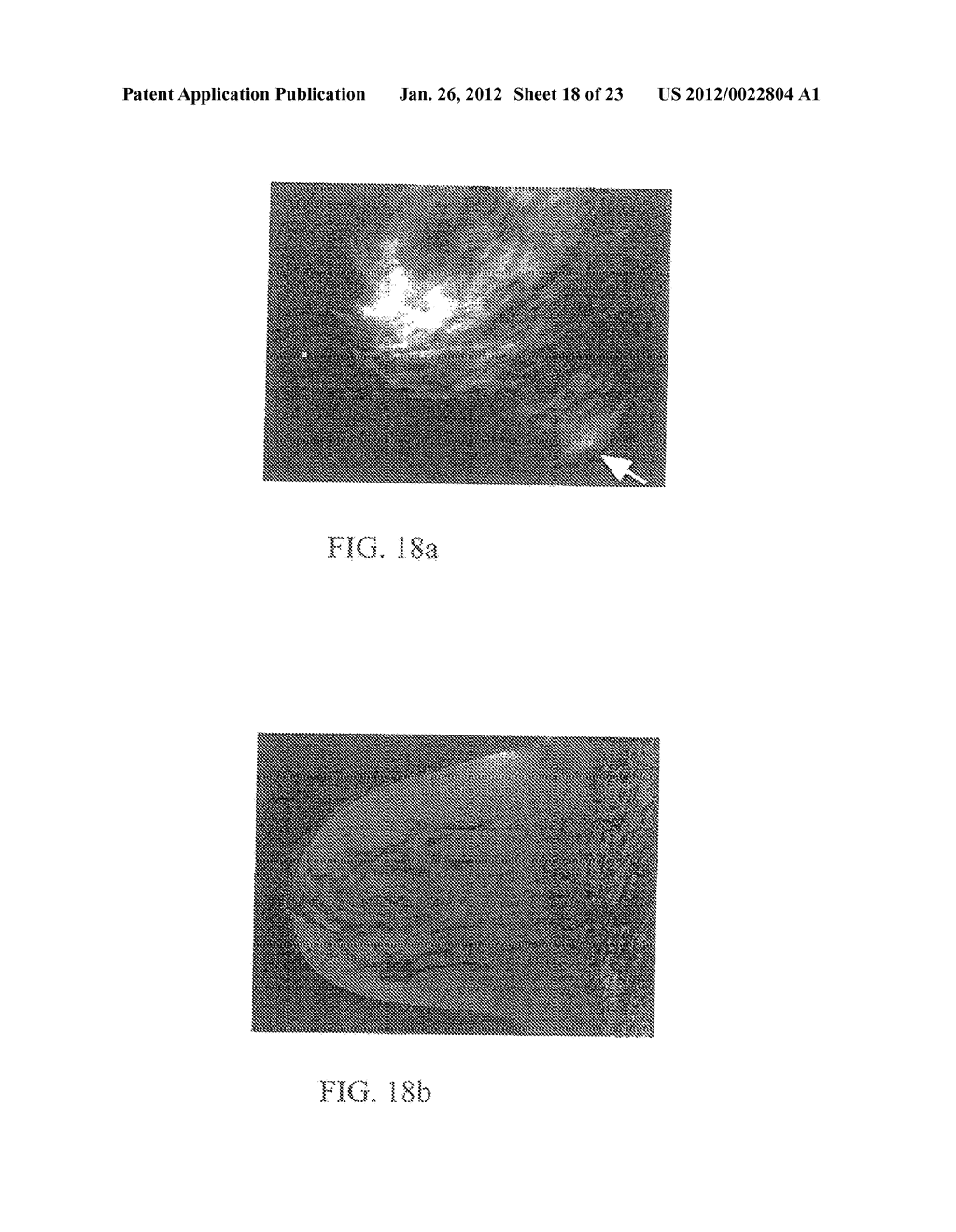 APPARATUS FOR MONITORING A SYSTEM WITH TIME IN SPACE AND METHOD THEREFOR - diagram, schematic, and image 19