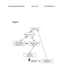 METHOD AND SYSTEM FOR PROVIDING A CUSTOM BIOPOLYMER TO A CUSTOMER diagram and image