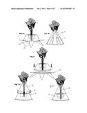 AUTONOMOUS ANTI-SPILL CARRIER FOR A BOUQUET OF FLOWERS diagram and image