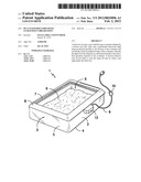 PET LITTER BOX EMPLOYING ULTRAVIOLET IRRADIATION diagram and image