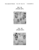 METHOD FOR FABRICATING SEMICONDUCTOR DEVICE WITH BURIED GATES diagram and image