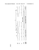 DISPLAY DEVICE AND DRIVE METHOD FOR DISPLAY DEVICES diagram and image