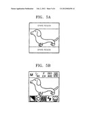 IMAGE DISPLAY APPARATUS AND PHOTOGRAPHING APPARATUS diagram and image