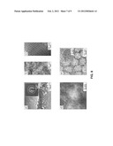 MESOPOROUS NANOCRYSTALLINE FILM ARCHITECTURE FOR CAPACITIVE STORAGE     DEVICES diagram and image