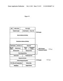 High performance data transport system and method diagram and image