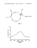 POLYOXOMETALATE WATER OXIDATION CATALYSTS AND METHODS OF USE THEREOF diagram and image