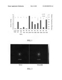 MODIFIED SODIUM IODIDE SYMPORTER PROTEINS AND USES THEREOF diagram and image