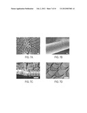 Low-Aspect Ratio Carbon Nanostructures diagram and image