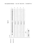 HEPATITIS C VIRUS COMBINATION THERAPY diagram and image