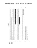 HEPATITIS C VIRUS COMBINATION THERAPY diagram and image