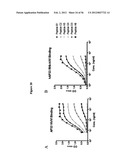 HEPATITIS C VIRUS COMBINATION THERAPY diagram and image