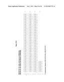 HEPATITIS C VIRUS COMBINATION THERAPY diagram and image