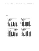 IMMUNOLOGICAL RECONSTITUTION PROMOTER OR PROPHYLACTIC AGENT FOR INFECTIONS     EACH OF WHICH MAINTAINS GRAFT-VERSUS-TUMOR EFFECT diagram and image