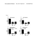 IMMUNOLOGICAL RECONSTITUTION PROMOTER OR PROPHYLACTIC AGENT FOR INFECTIONS     EACH OF WHICH MAINTAINS GRAFT-VERSUS-TUMOR EFFECT diagram and image