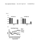 IMMUNOLOGICAL RECONSTITUTION PROMOTER OR PROPHYLACTIC AGENT FOR INFECTIONS     EACH OF WHICH MAINTAINS GRAFT-VERSUS-TUMOR EFFECT diagram and image