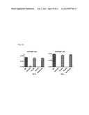 IMMUNOLOGICAL RECONSTITUTION PROMOTER OR PROPHYLACTIC AGENT FOR INFECTIONS     EACH OF WHICH MAINTAINS GRAFT-VERSUS-TUMOR EFFECT diagram and image