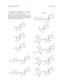 METHODS AND COMPOUNDS FOR TREATING PARAMYXOVIRIDAE VIRUS INFECTIONS diagram and image