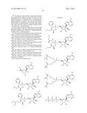 METHODS AND COMPOUNDS FOR TREATING PARAMYXOVIRIDAE VIRUS INFECTIONS diagram and image