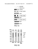 COMPOSITIONS AND METHODS FOR TREATING CANCER diagram and image