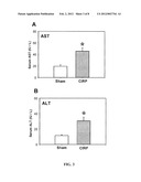 Treatment of Inflammatory Diseases by Inhibiting Cold-Inducible     RNA-Binding Protein (CIRP) diagram and image