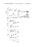 Treatment of Inflammatory Diseases by Inhibiting Cold-Inducible     RNA-Binding Protein (CIRP) diagram and image